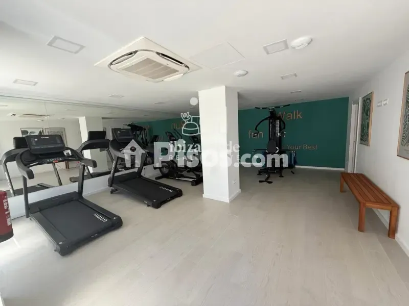 Toad - Luxury Apartment with Pool in Playa Den Bossa
