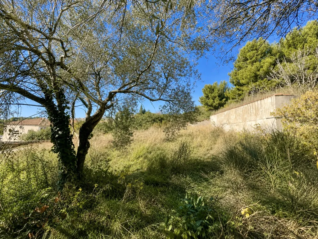 Jardin - Maison Familiale avec Piscine et Vue Dominante à Château-Gombert