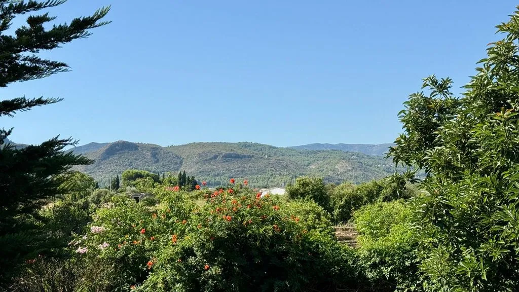 Jardin - Luxury Villa with Two Residences in Ondara