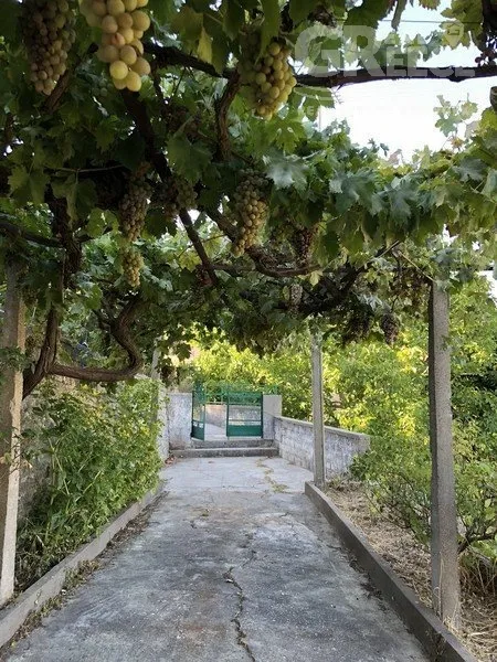 Jardin - Two-Storey House with Mountain View in Pyrgos, Samos
