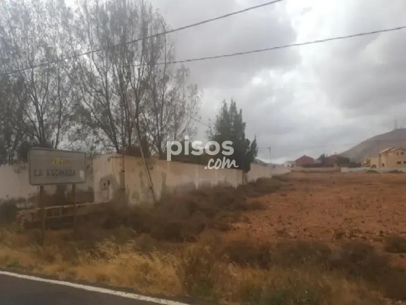 Aed - Rustic Farm Plot in Los Estancos, Fuerteventura