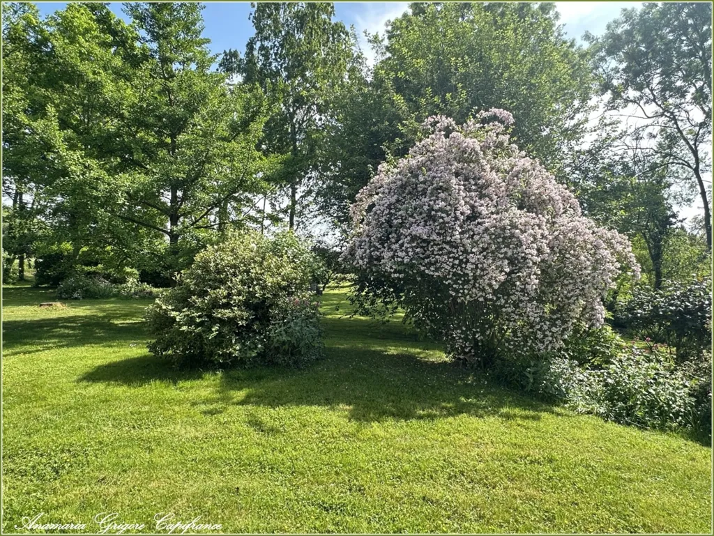 Giardino - Charming House with Large Garden in Courville-sur-Eure