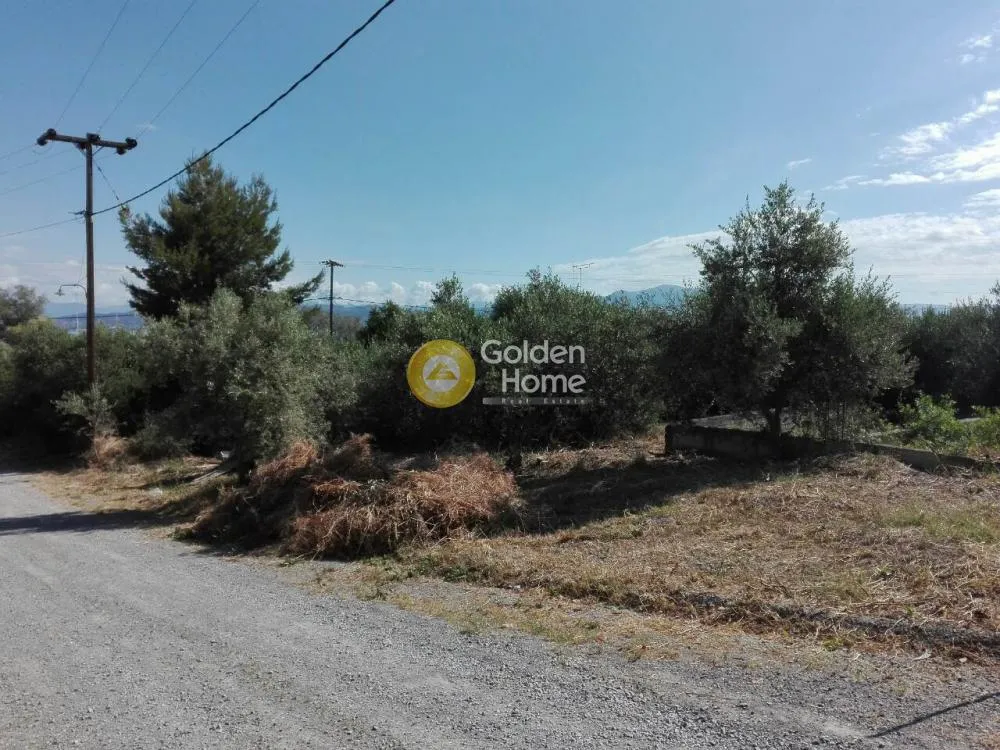 Aed - Seafront Plot with Potential in Dilessi