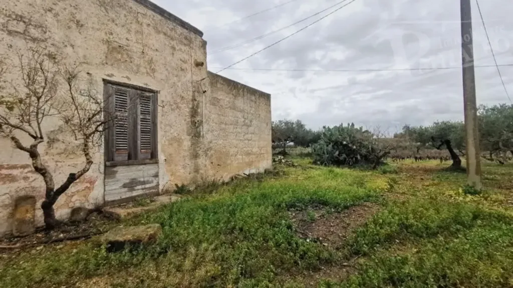 Extérieur - Sicilian Rustico with Olive Trees in Marsala