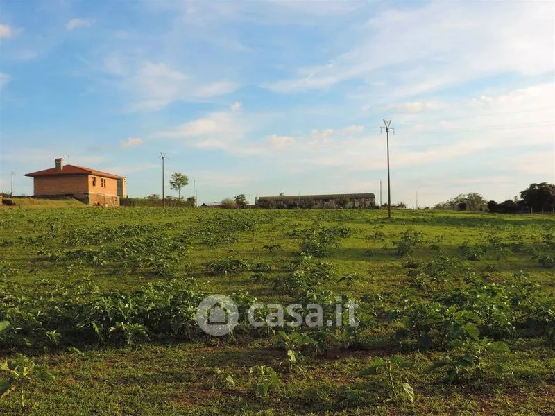 Jardin - Rustic Casale with 3 Hectares in Viterbo