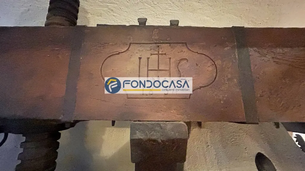 Toad - Historic Mill with Garden in Camaiore