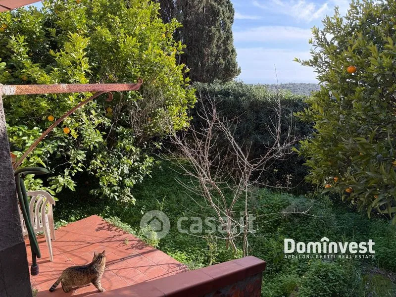 Aed - Villa with Sea View in Capalbio