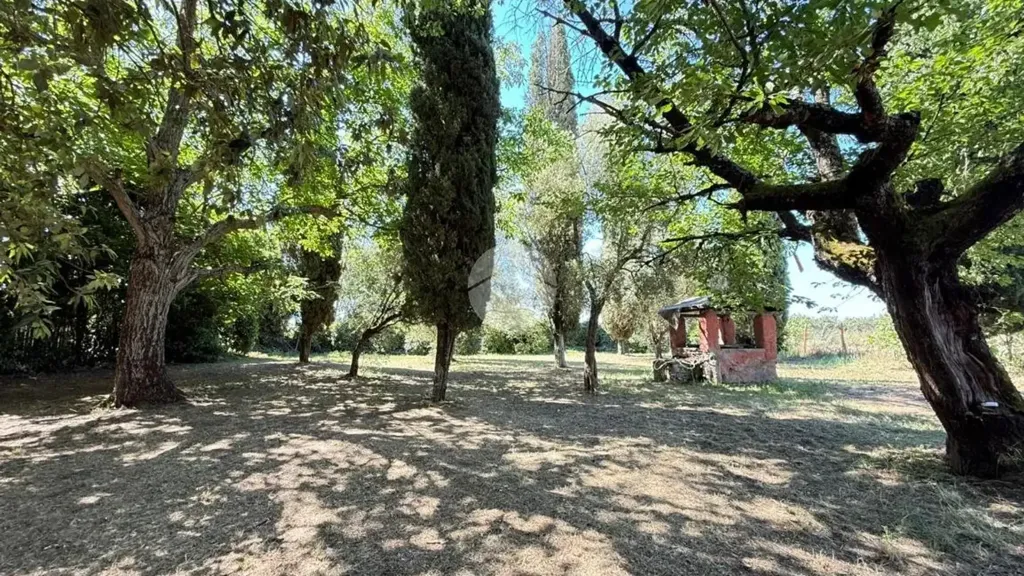Jardin - Rustic Casale with Garden in Teverina, Viterbo