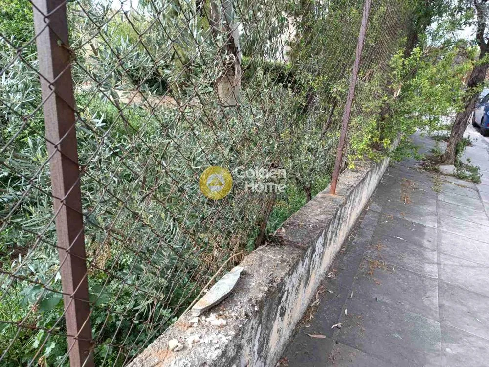 Aed - Plot with Forest View in Melissia
