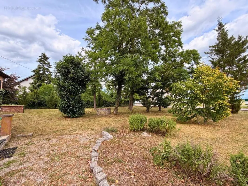 Jardin - Bungalow avec jardin à Hirtzfelden