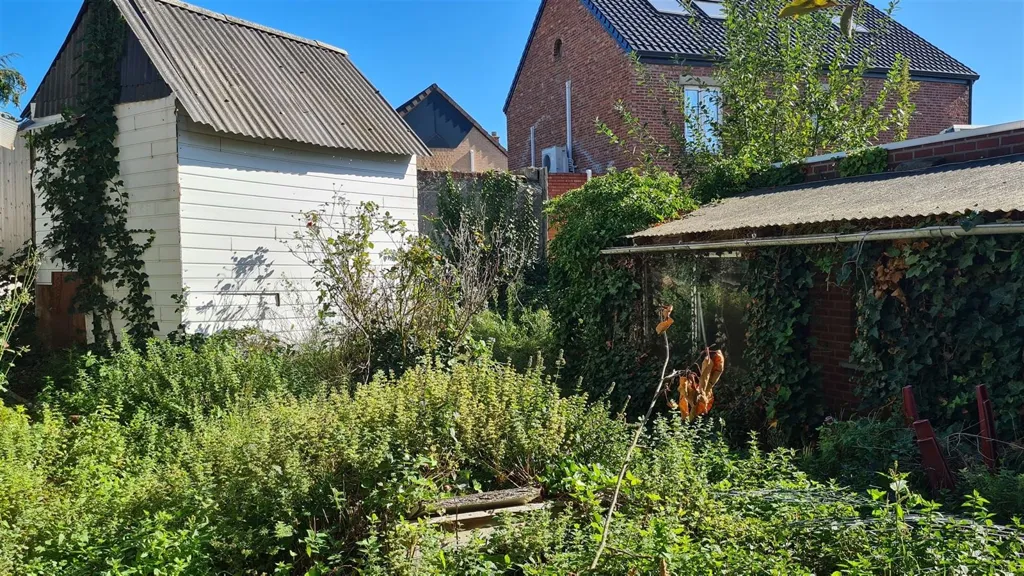 Aed - Renovation Project House with Solar Panels in Kortessem