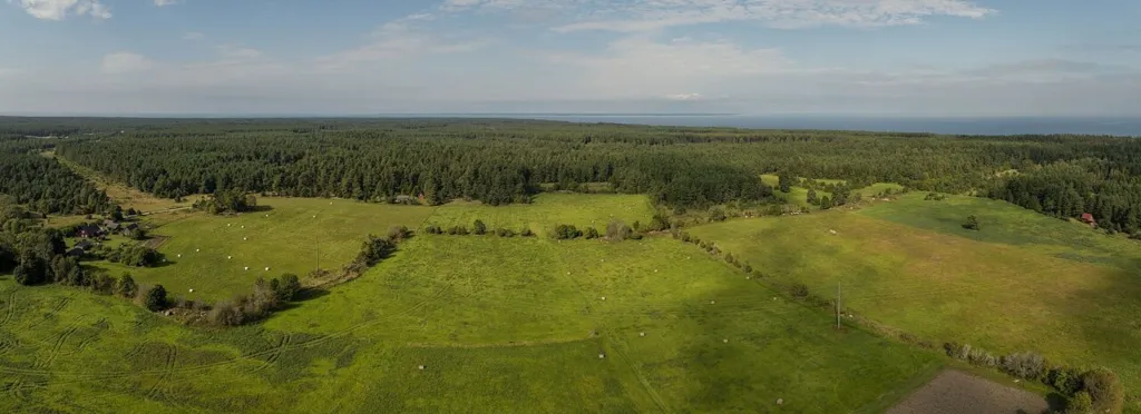 Vue aérienne - Plot with Potential for Cottage in Meiuste