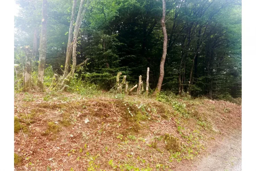 Land in Philippeville