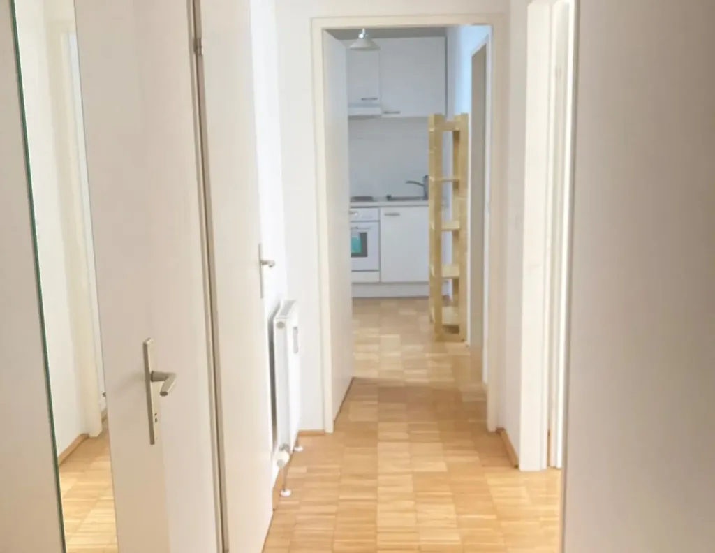 Ingresso - Bright Loft Flat in Renovated Biedermeier House