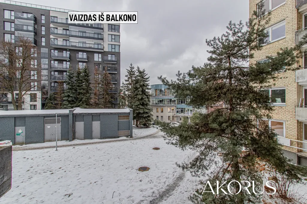 Aed - Apartment with Balcony in Vilnius Žvėrynas