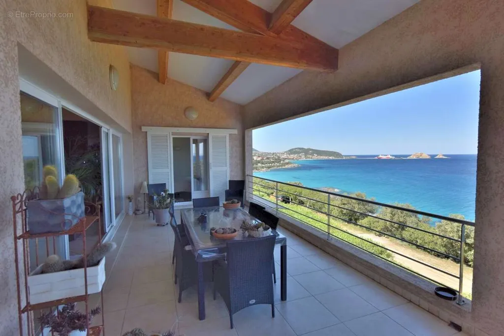 Terrasse - Villa sur le toit avec piscine à Île-Rousse