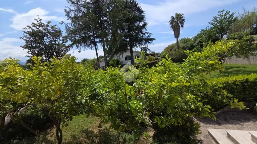 Jardin - Villa with Panoramic Balcony in Velletri