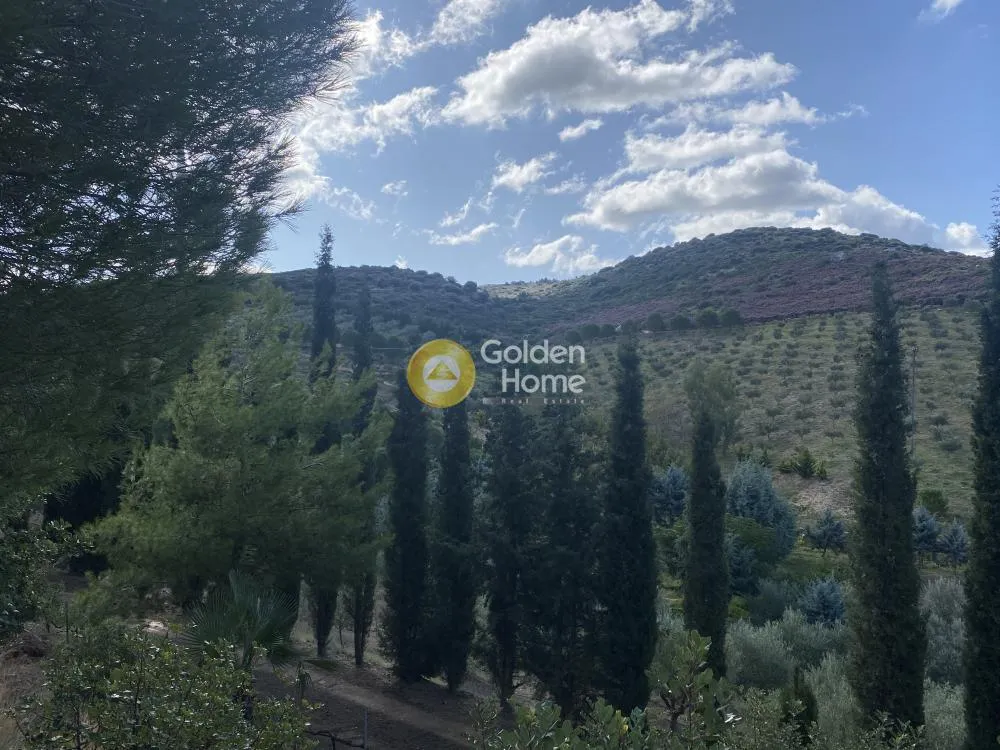 Jardin - Amphitheatre Plot with Panoramic View in Petres