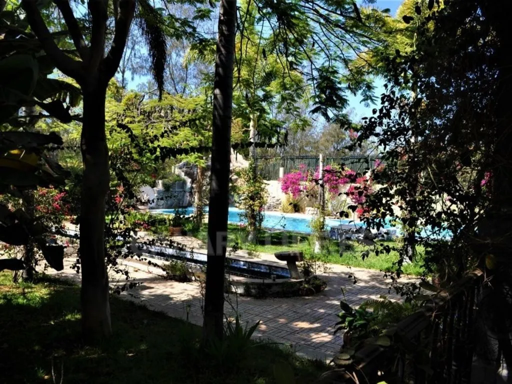 Jardin - Luxury Villa with Romanesque Features in San Bartolomé