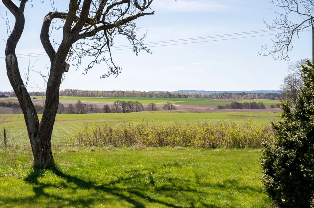 Aed - Historic Cross-Vaulted Farmhouse with Restaurant in Halland