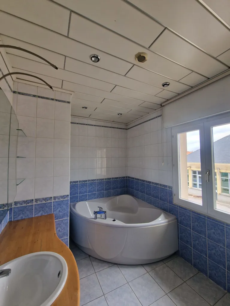 Vannitoad - Charming Flat with Terrace in Cattenom