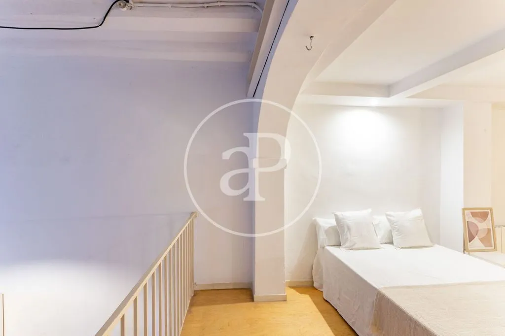 Magamistoad - Duplex Flat with Garden in Barcelona