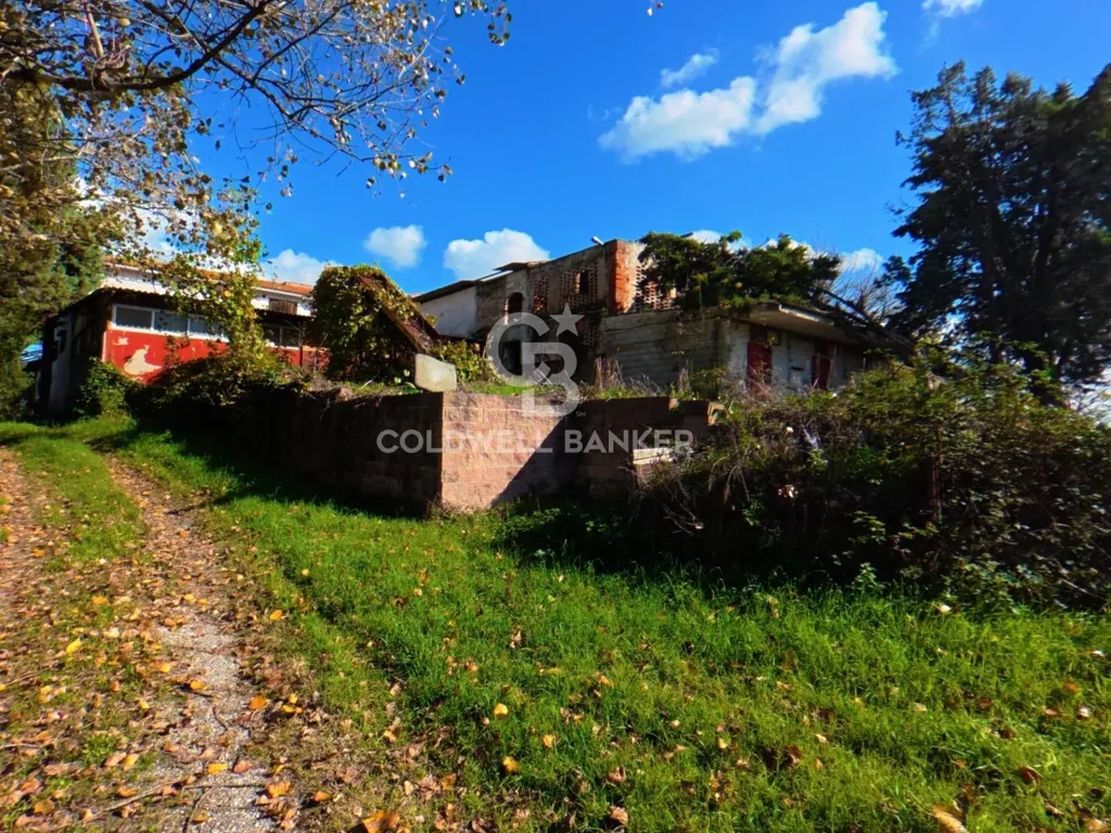 Extérieur - Rustic Estate with Lake in Vinci, Tuscany