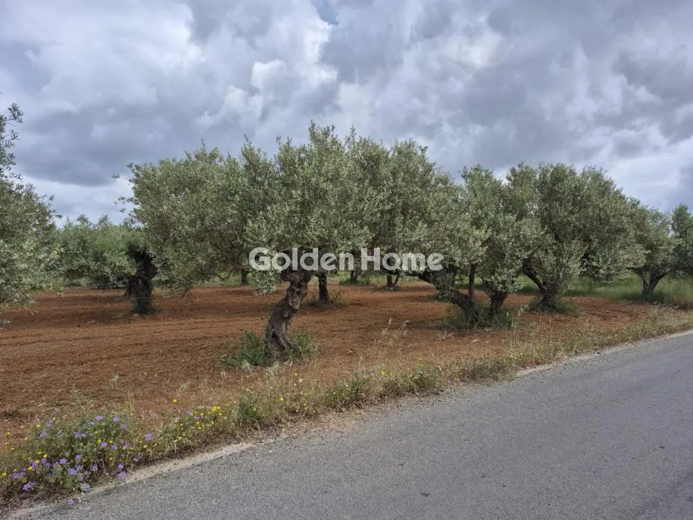 Aed - Buildable Plot with Airport Proximity in Minóa Pedíados