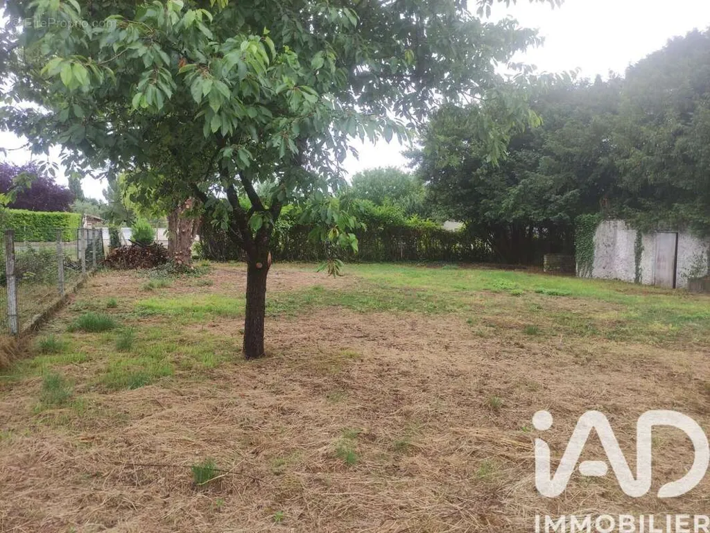 Aed - Plot with Permitted Construction in Vars