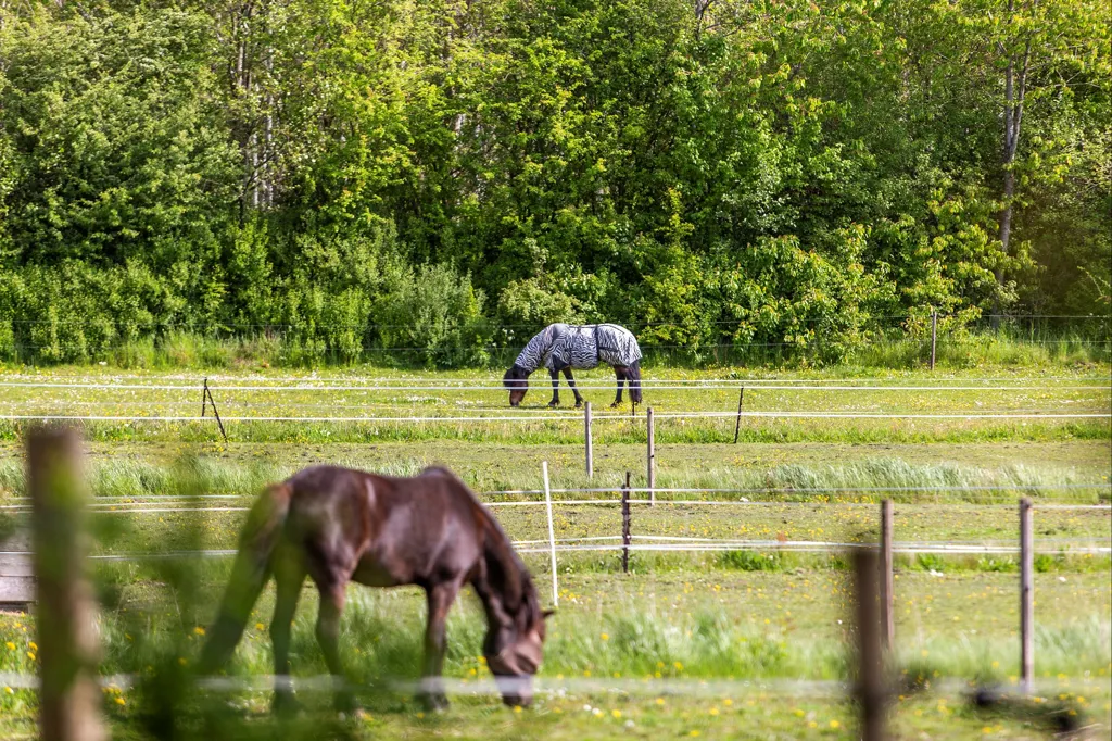 Giardino - Ride Centre with Stables near True Skov