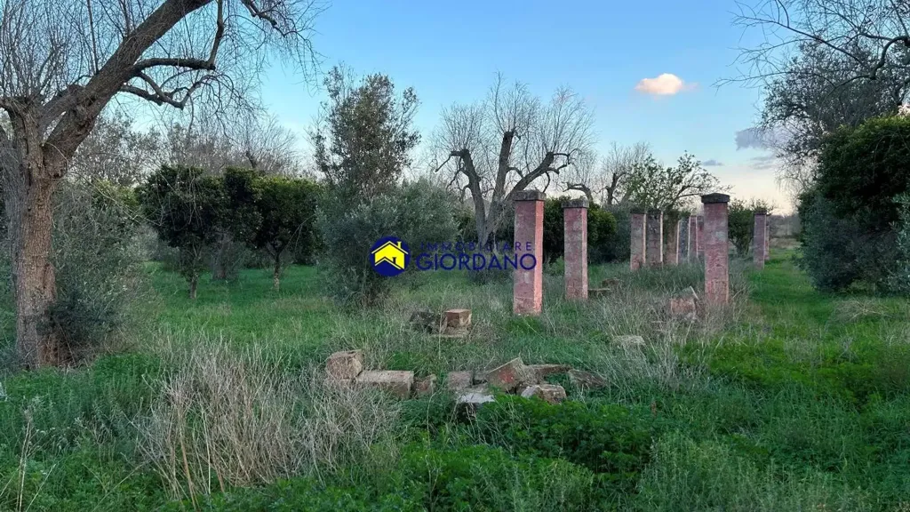 Garden - Rustic Property with Garden in Squinzano