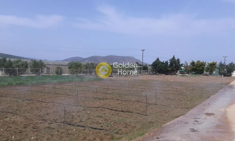 Aed - Agricultural Plot with Unrestricted View in Marathon Centre