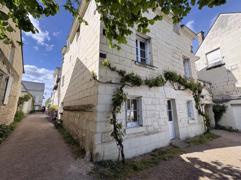 Välivaade - Charming House with Loire View in Candes-Saint-Martin
