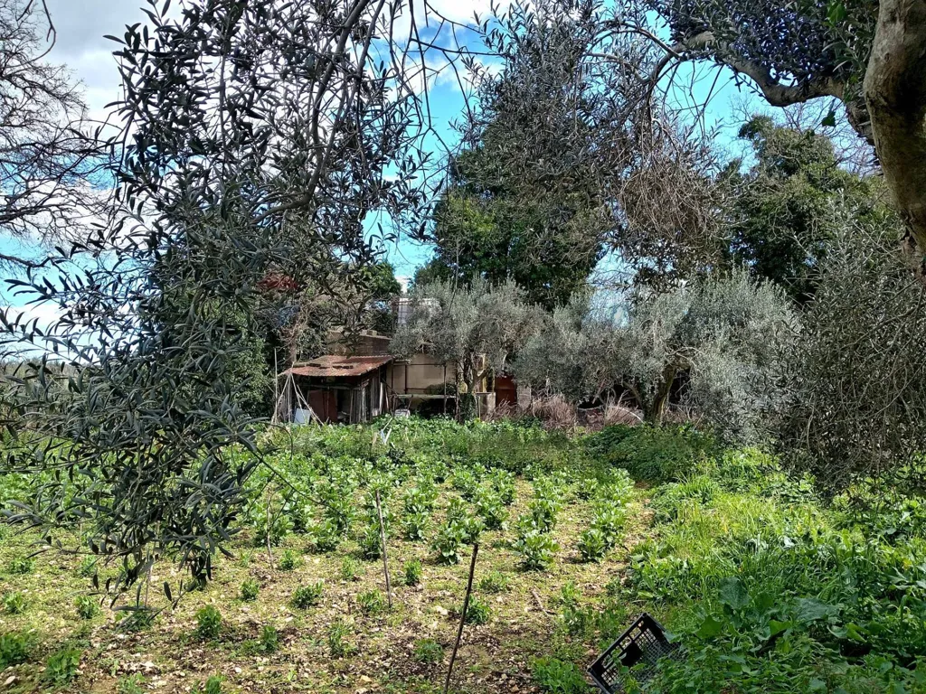 Garden - Agricultural Land with Existing Structures in Palazzolo Acreide