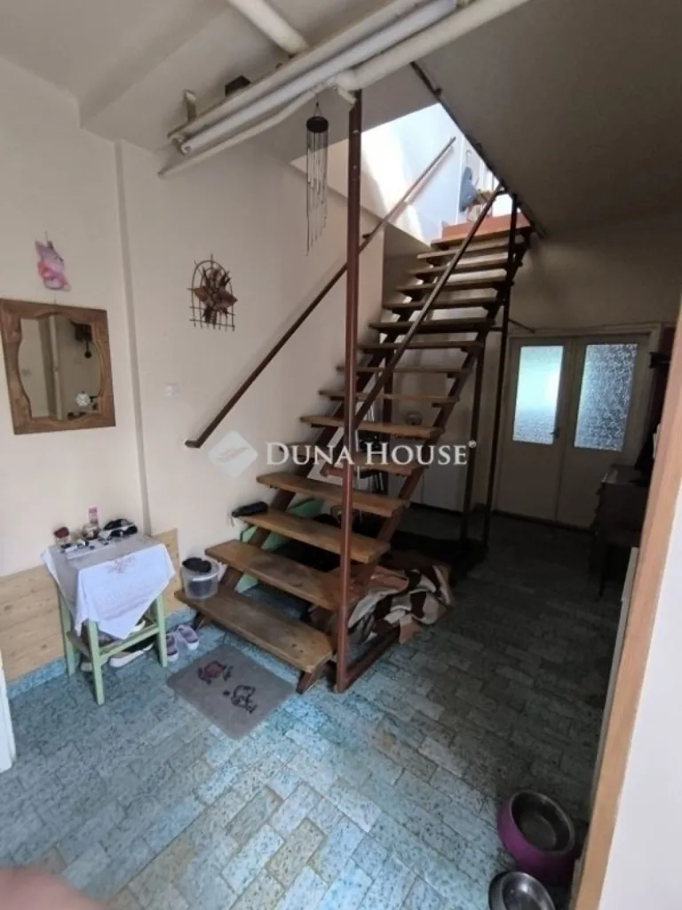 Toad - Family House with Large Plot in Monor