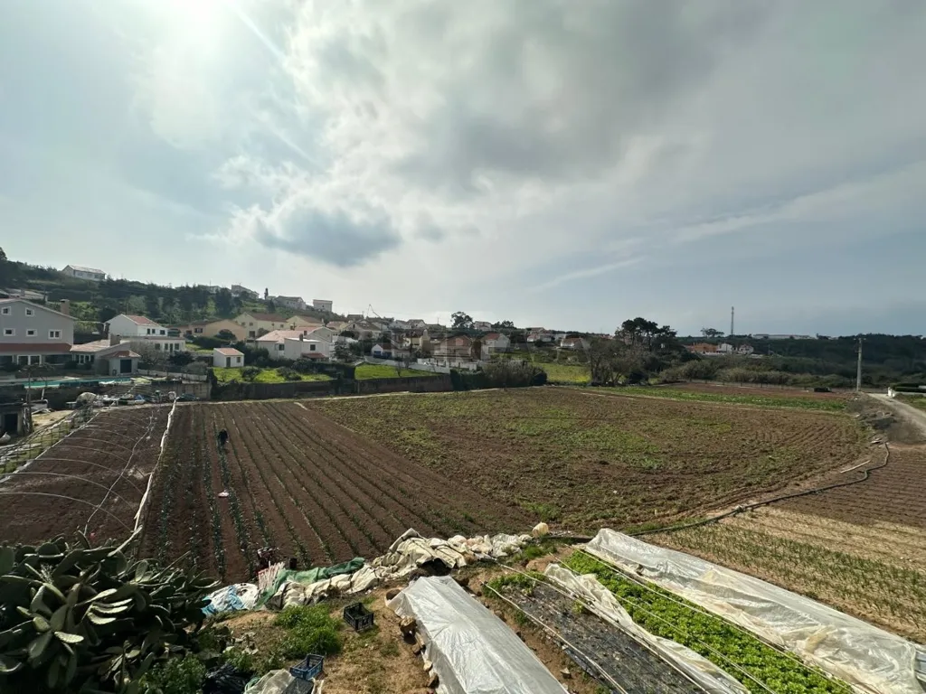 Aed - Luxury Villa with Panoramic Deck in Ericeira