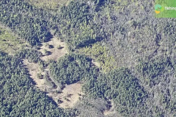Õhuvaade - Forest Land for Sale in Hiiumaa