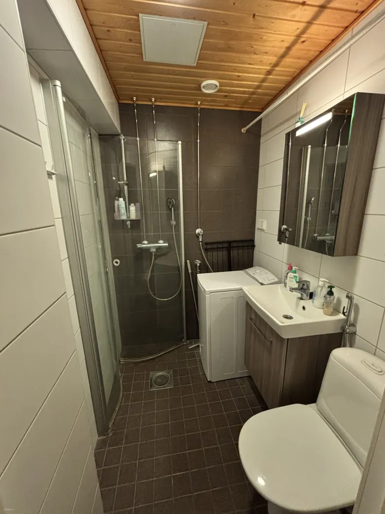Bathrooms - Modernised Studio Flat in Lahti Centre