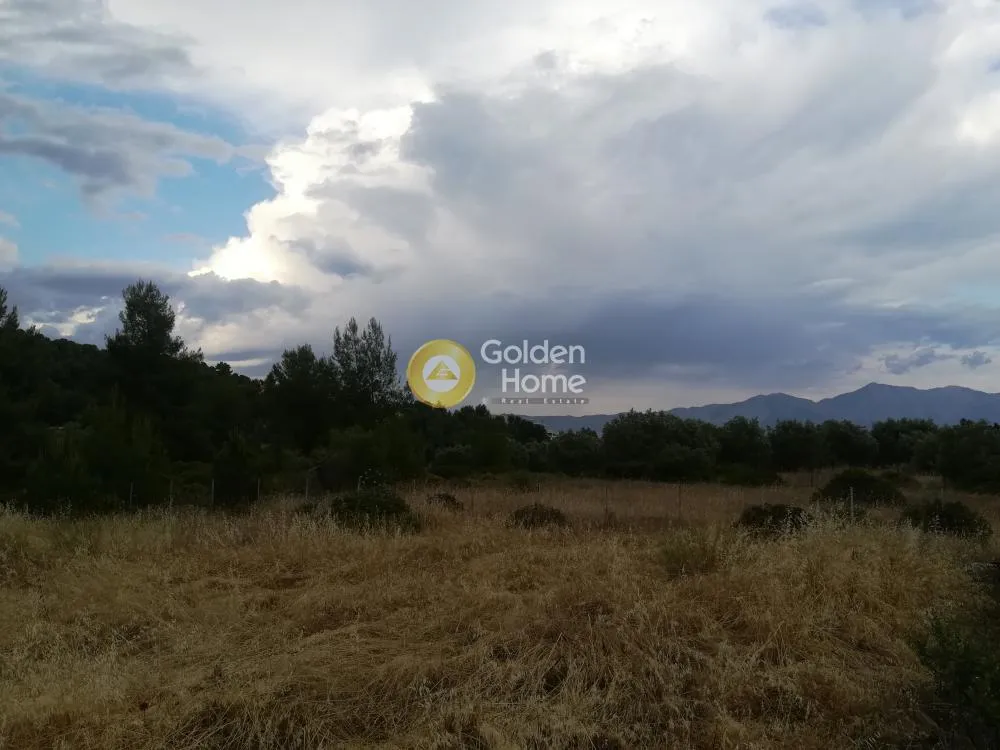 Aed - Buildable Plot with Sea View in Theologos