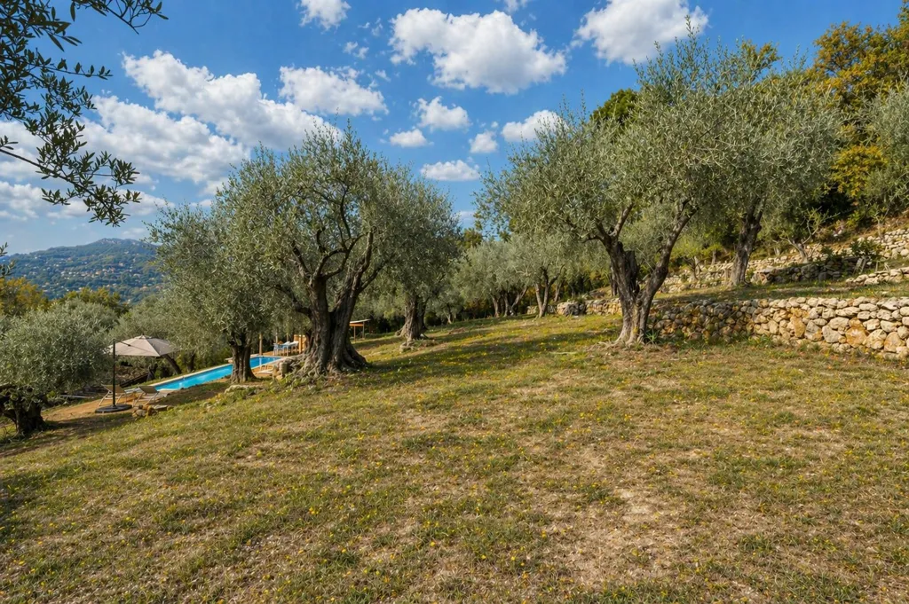 Aed - Charming Property with Olive Grove in Provence