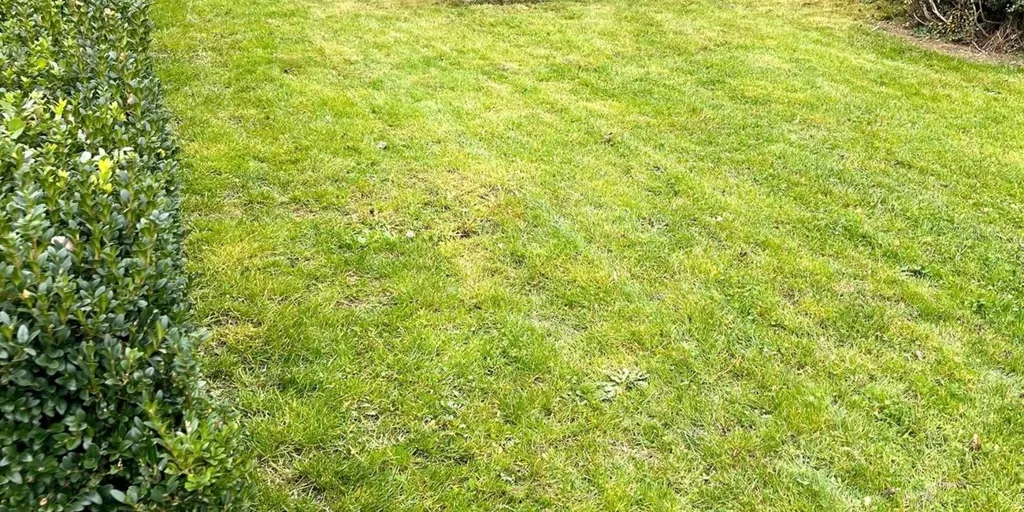 Aed - Villa with Pool and Project Land in Groot-Bijgaarden