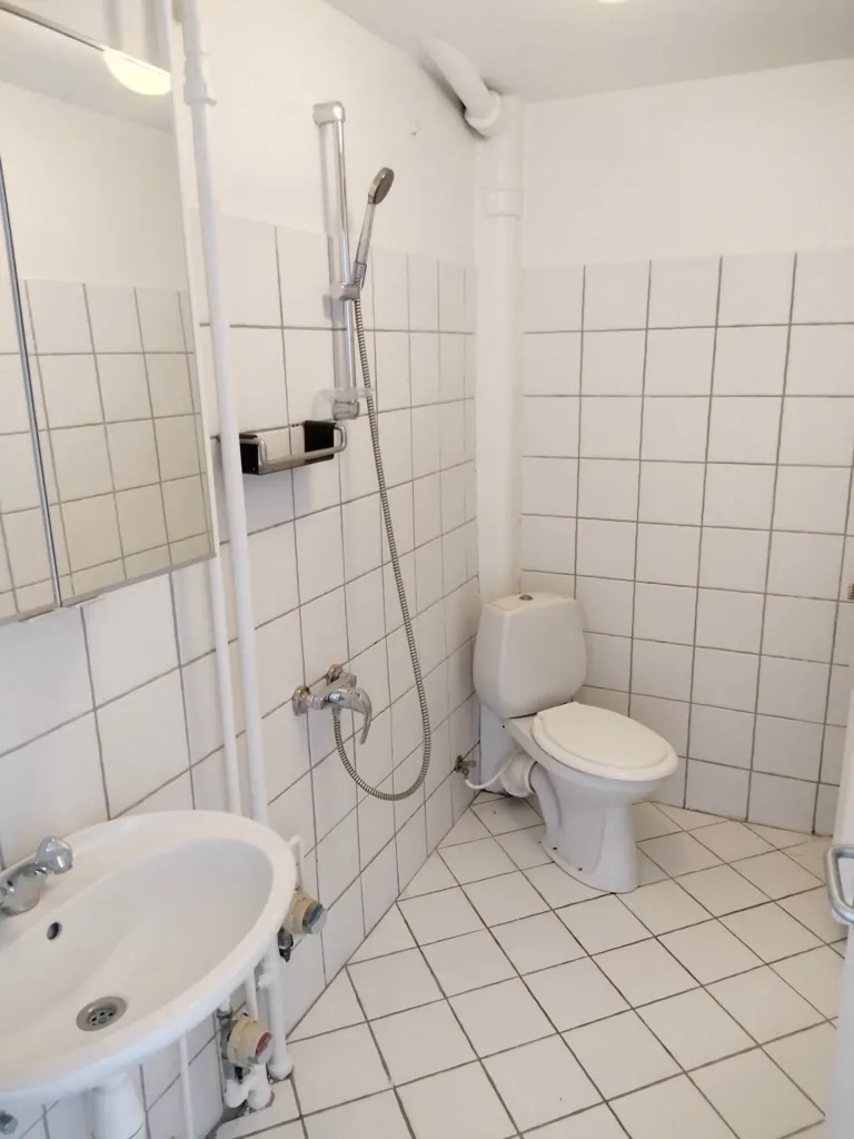 Vannitoad - Renovated Flat with Balcony in Odense C