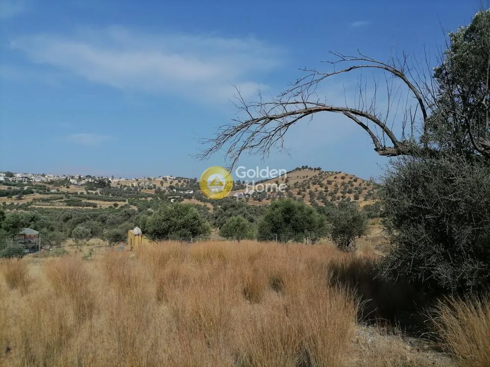 Jardin - Agricultural Plot with Mountain View in Phaistos
