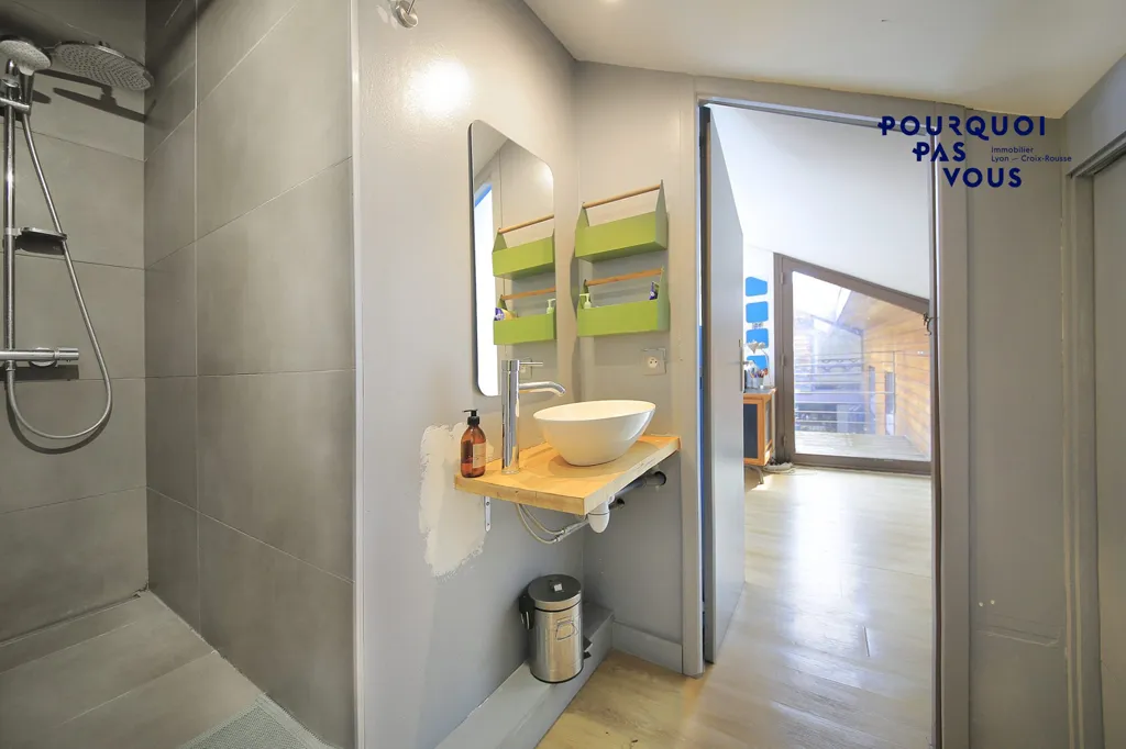 Vannitoad - Loft with Patio in Lyon 4e