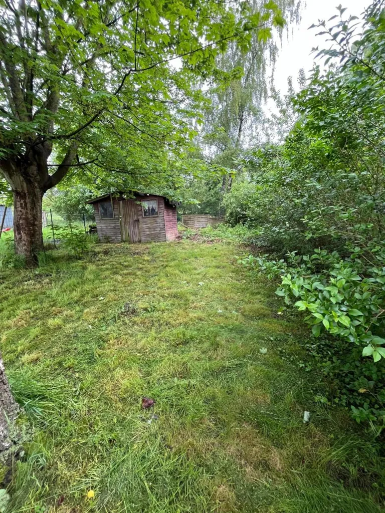 Jardin - Maison en Pierre avec Jardin à Rénover