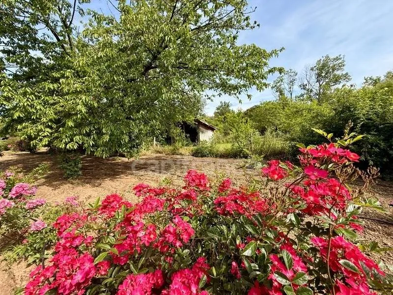 Jardin - Propriété de Caractère avec Parc à Limoux