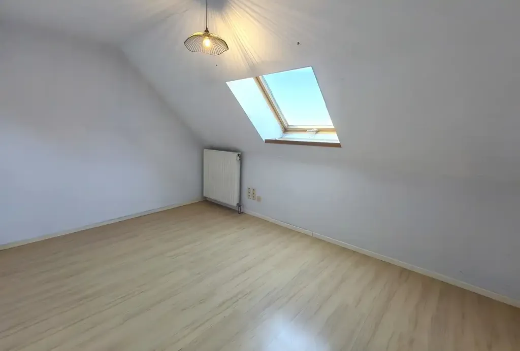 Toad - Apartment with Garage on Corner in City Centre