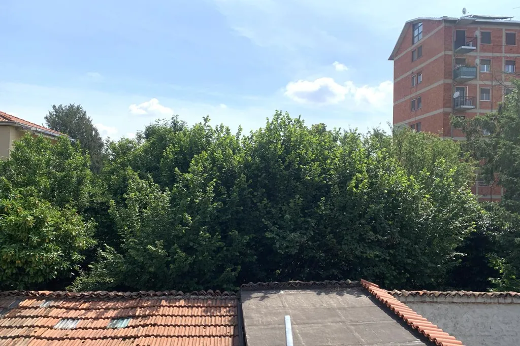 Terrace - Duplex Apartment with Balcony in Monza