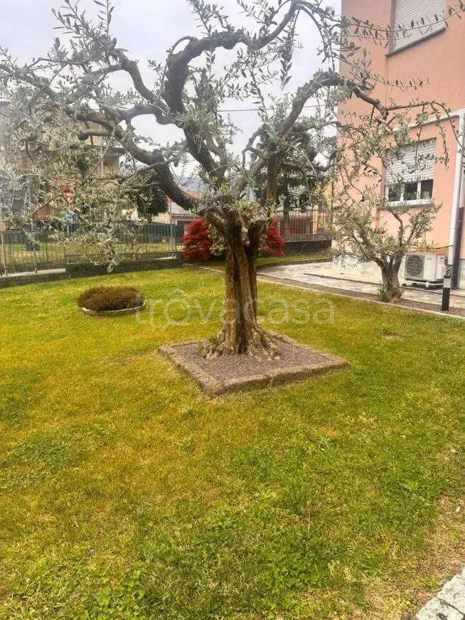 Garden - Two-Unit Apartment with Private Garden in Calolziocorte