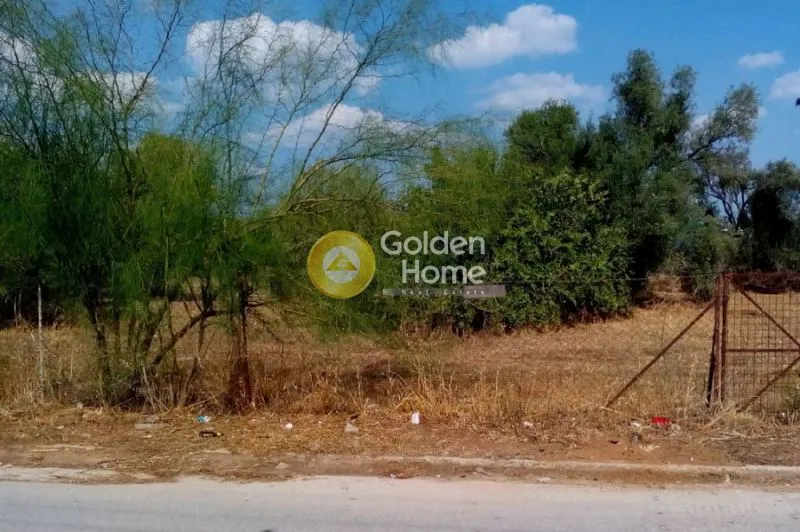 Jardin - Plot with Sea View in Skala Oropou